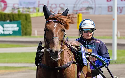 Evartti kävi viime kesänä Solvallassa voittamassa Elitkampenin.