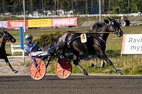 Olli Koivunen nautiskeli Fortunewheelgardenin kyydistä tänään Teivossa. Turkulainen ajoi Tampereella kaksi voittoa, toisen toi Esa Heikkisen valmentama Julmin.