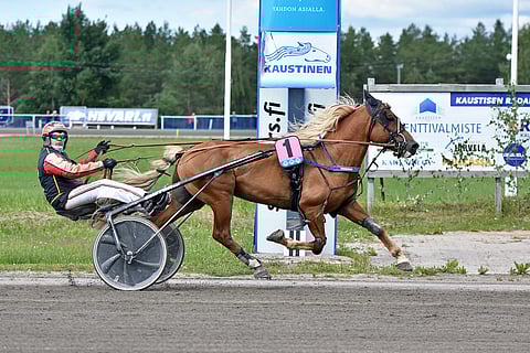 Hissun Feeniks teki hurjan esityksen Tuomas Pakkasen kuskaamana.
