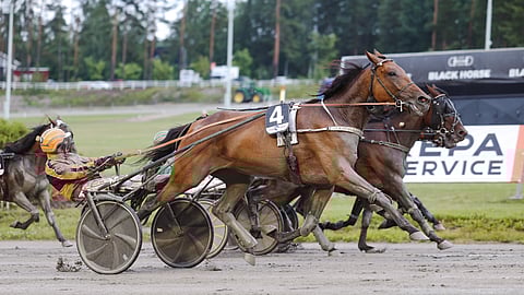 True Devotion juoksi Jussi Suomisen tallille vuoden 14:nnen voiton.