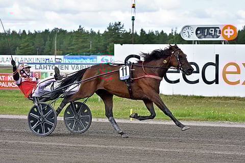 Hannu soitteli ilmaviulua Kaustisen maalisuoralla.