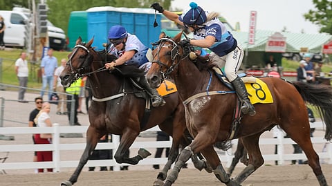 Gambling Face (8) on ollut Martta Smuran kanssa pitelemätön.