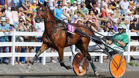 Ari Moilanen on usein ohjastanut Astrumia.