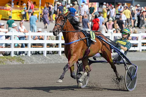 EL Indeed murtautui viime vuonna lopullisesti kotimaan tammaeliittiin.