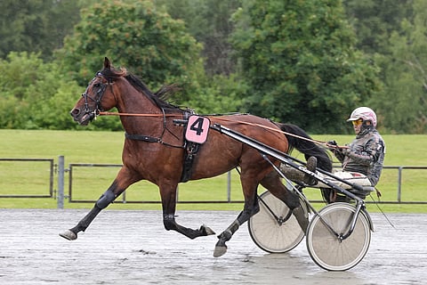 Le Gros Bill ei ole kilpaillut viime vuoden Joensuu-ajon jälkeen.