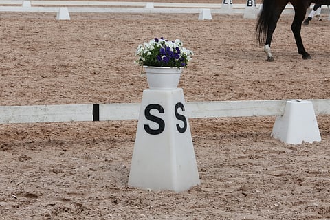 Kaikki kilpasatulaan. 