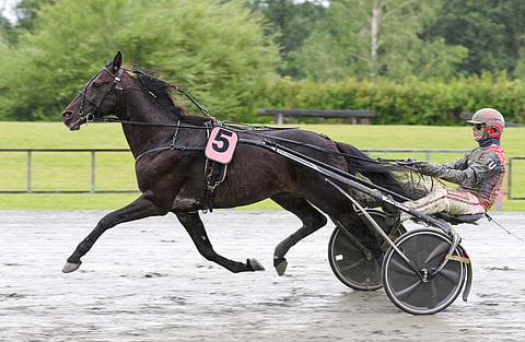 Atupem voitti Santtu Raitalan ohjastama viime kesänä jo neljättä kertaa Joensuu-ajon.