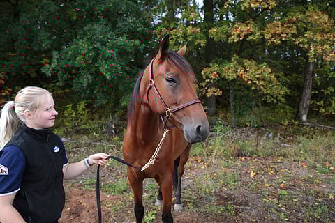 Jugador palaa entiselle hoitajalleen Heidi Vuorelle.