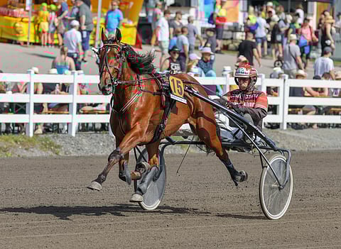 Tapio Perttunen uskoo vahvasti Global Bewaren riittävän myös Ruotsin Hopeadivisioonassa.