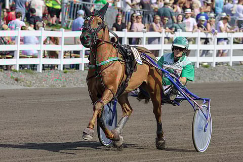 Sheikki kilpailee jatkossa Jussi Suomisen valmennuksessa.