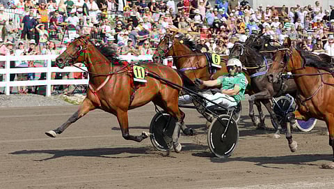 Ari Moilasen ohjastama Willow Pride punnersi Tammatähden maalisuoralla kärkeen ja voittoon.