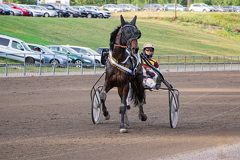 Janita Antti-Roikon suojatti Famous Valley esiintyi uutterasti.