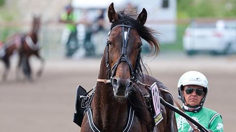 President Lindy ja Niko Jokela ovat avauskohteen ideavarmoja.