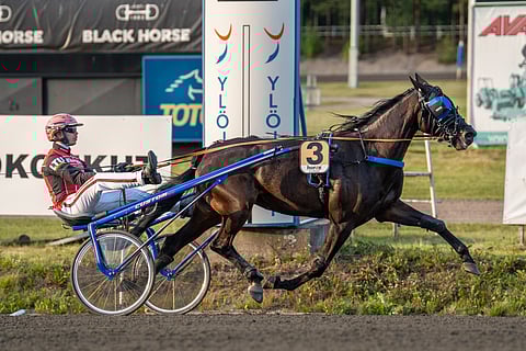 Kolmevuotias Sands Hybrid on voittanut viidestä kilpailustaan kolme. Santtu Raitala on ohjastanut yhtä lukuun ottamatta kaikki tamman startit.