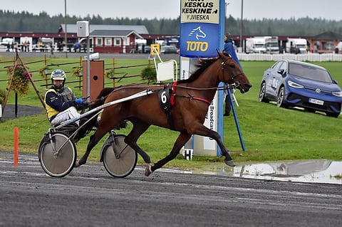 Victor Björkroth on ohjastanut lähes kaikki Ramsgaten startit.
