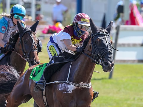 Janita Antti-Roiko on kokenut ohjastaja, valmentaja ja ratsastaja, mutta valjakkoajon tarkkuuskoe on vielä kokematta.