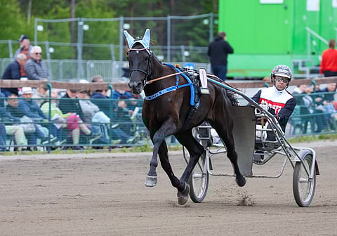 Henry Flyer Sisu ja Mika Forss nähdään St Michelissä.