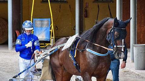 BWT Echo ohjasti Italian starteissa Manuel Pistone.