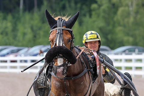 Franselmin uran isoin onnistuminen tuli Suur-Hollola-viikonloppuna. Juha-Pekka Vilkmanin silmäterä starttaa yllätysvalmiina Tammaderbyssä.