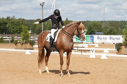 Lokson Taikautu aloitti finaalin.