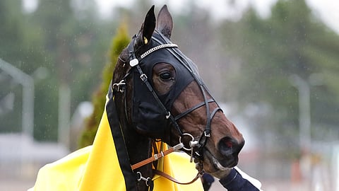 Tänä kesänä kummatkin ennätyksensä uusiksi laittanut Nemea Kaka on avauskohteem ideavarma.