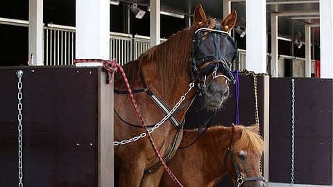 Hetviina joutui jättämään kuningatarkilvan kesken avausmatkan jälkeen.