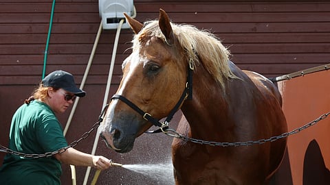 Runoneito pesulla. Mia Liipola suihkuttaa. 