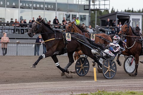 Kenneth Danielsenin toinen Forssan perjantairavien voittajista oli isoimpiin 4-vuotislähtöihin tähtäävä Everlasting Boogie.