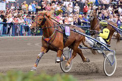 Rekilammen Sauli ravasi Kouvolan Kuninkuusraveissa itsensä Pikkukunkuksi.