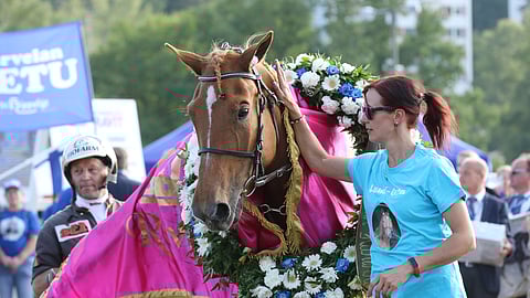 Terhi Kotilaisen hoitama Lumi-Oosa on hallitseva ravikuningatar.