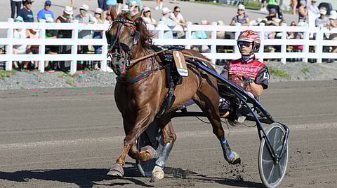 Evartti hurjasteli viime kesänä Mikkelissä SE-tuloksen 18,4aly Santtu Raitalan ohjastamana.