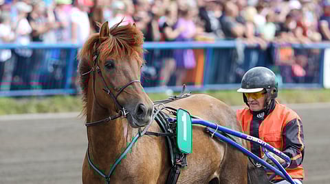 Juhani Heikkinen kertoo Virin Varpulle kuuluvan hyvää.
