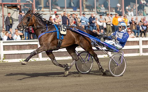 Jarmo Saarela ohjasti Bellatrix Clubin sen uran ainoaan Suomessa tulleeseen voittoon viime elokuussa Torniossa.