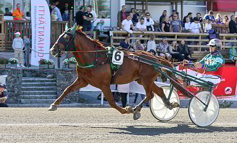 Pro on ennen Ojanperälle siirtymistään kilpaillut koko uransa Hannu Hietasen valmennuksesta.