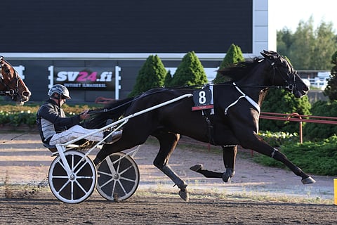 Ravuri Truedream A.F. ja ohjastaja-valmentaja Mika Taittonen.
