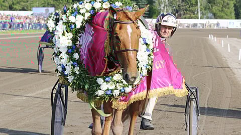Lumi-Oosa seppelöitiin ravikuningattareksi Kouvolassa vuonna 2023.