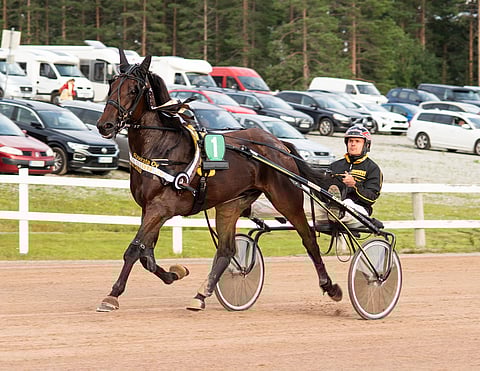 Matti Nisosen tallin hevoset kulkivat Kajaanissa upeasti. Kuvassa Diamond Combo.
