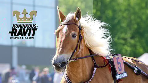 Kuka kruunataan Kouvolassa?