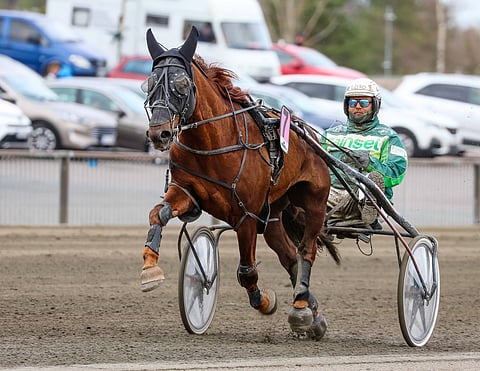 Markus Porokan Virin Urho kelpaa varmaksi.