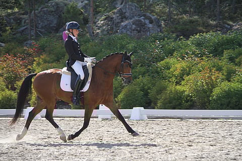 Roosa Salo ja Sir Maximus Welshwarrior viimeisellä yhteisellä radallaan.