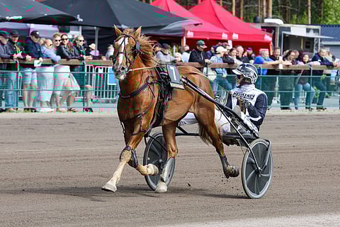 Kartier on kilpaillut uransa huikealla voittoprosentilla 35.