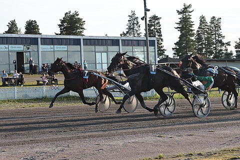 Al's Boozy Suzy (7) kiri ulkoa vahvasti, mutta Ville Pohjolan ajama Kitzune G.G. (1) ei tänään suostunut häviämään kenellekään.