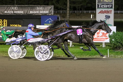 Road To Hill löi Kriterium-karsinnassaan An-Dorran.