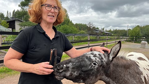 Sisu-Salmiakki ja Riitta Holopainen. 