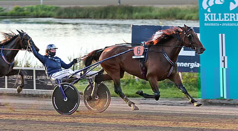 Emma Väre tuuletti valmentamansa ja ohjastamansa Cream Candyn karsintaykköstä.