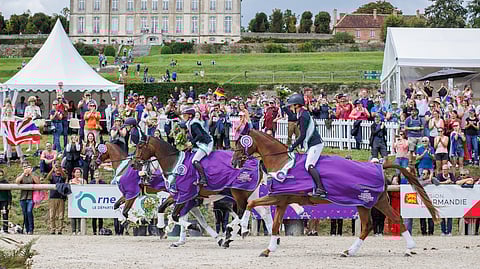 Britit veivät kenttäkullan Haras du Pinin upeissa maisemissa. 
