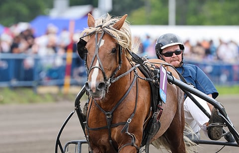Lipassi on valmentajansa Heikki Hoffrenin silmäterä.