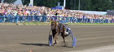 Parvelan Retu tuli maaliin ylhäisessä yksinäisyydessään.