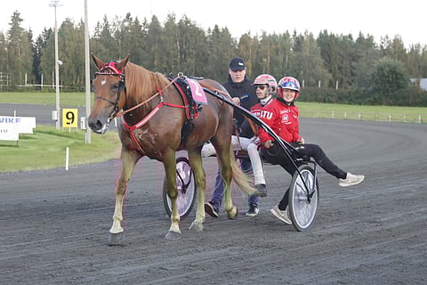 Santtu Raitala Juuso Väyrysen haastattelussa Jockas Ritan voiton jälkeen. Tamman hoitaja Anniina Pekonen myös kuvassa.