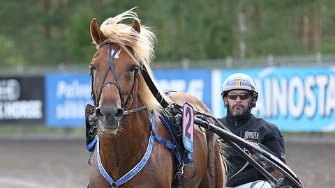 Enon Vilppi pääsi yllätysnimenä mukaan kuninkuuskilpailuun.